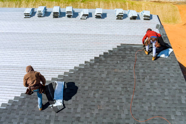 Best Roof Waterproofing Services  in Palm River Clair Mel, FL